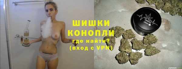 дурь Арсеньев