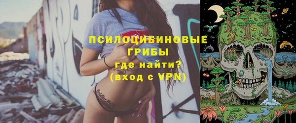 бошки Армянск