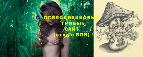 ПСИЛОЦИБИНОВЫЕ ГРИБЫ Балахна